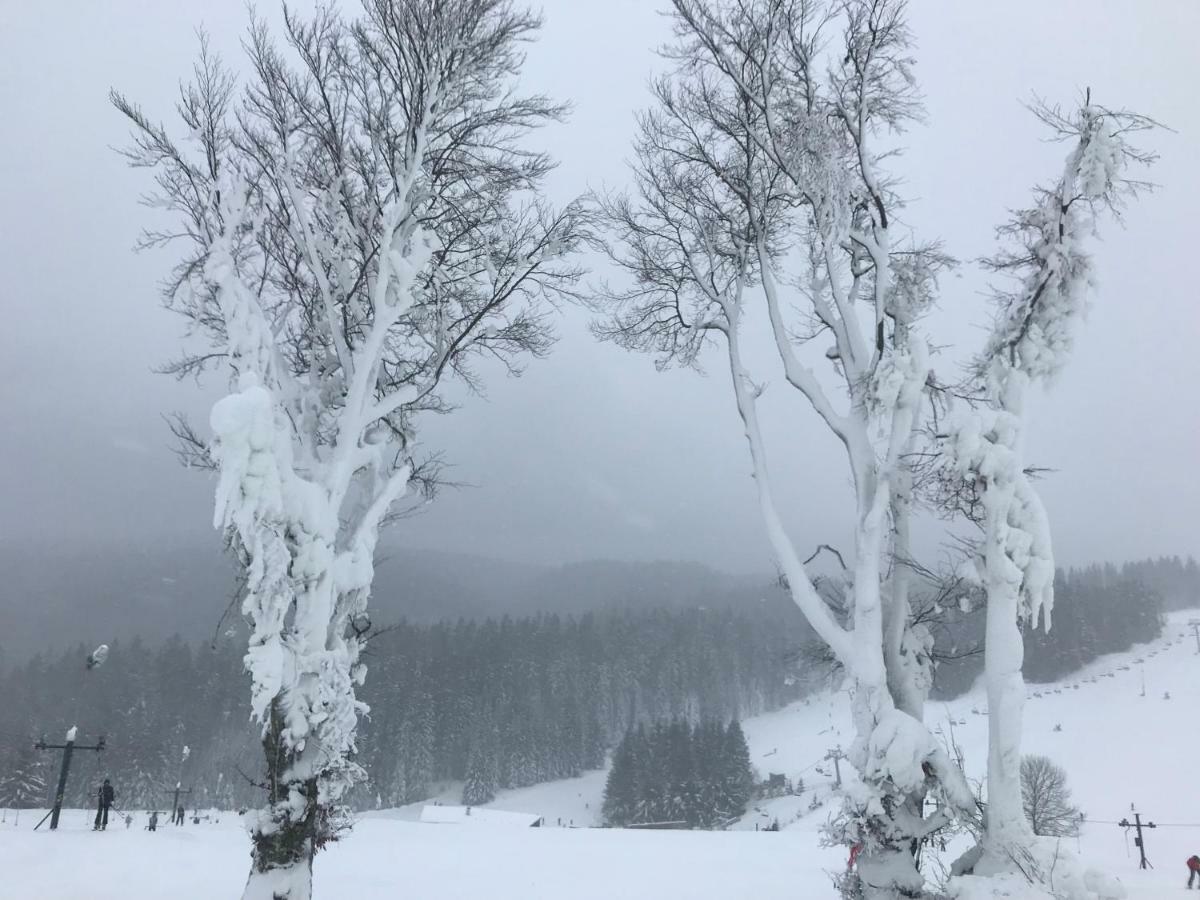 Apartman Horec A32 Donovaly Exteriör bild